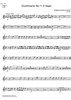 Divertimento No.11 D Major KV251 - D Horn