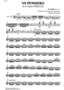 Va Pensiero from the opera Nabucco - Accordion 2