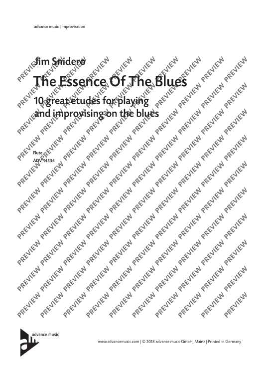 The Essence Of The Blues Flute