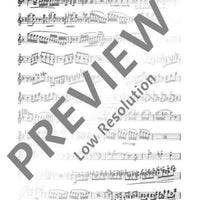 Il Guarany - Set of Parts