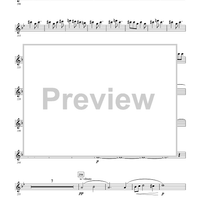 Breaking Point - Flute 1