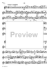 Concerto in F Major for Flute, Strings and Cembalo - Flute