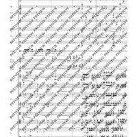 Double Concerto - Full Score