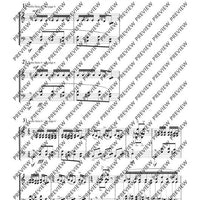 Dream of the Cherry Blossoms