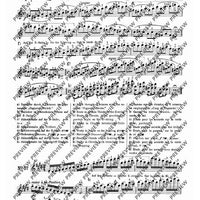 100 Technical Paraphrases on Kreutzer-Etudes