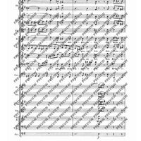 St Matthew Passion - Full Score