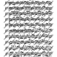 The Flutist's Progress