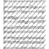 Flute Duets - Performing Score