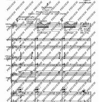 De temporum fine comoedia - Piano Reduction