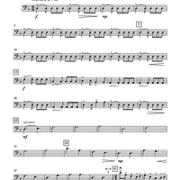 Shipwreck Beach - Bass