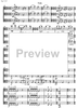 Contrabbasso concertante - Viola