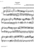 Concerto No. 1 G Major KV313 - Score