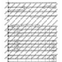 Sinfonia 1 "Fogli" / Sinfonia 2 "Ricordanze" - Full Score