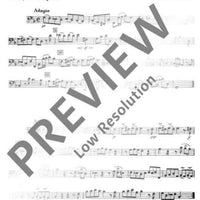 Sonata No. 3 g minor