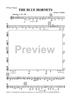 The Blue Hornets - Bass Clarinet