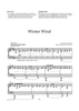 Winter Wind