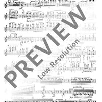 Caprice fantastique "Wichtelmännchen"