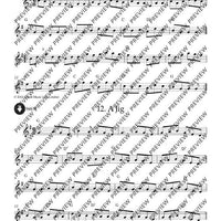 Irish Folk Tunes for Descant Recorder