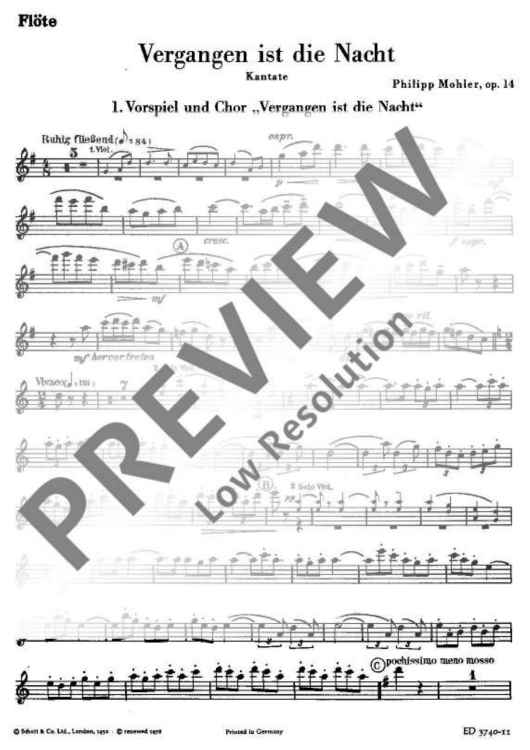 Vergangen ist die Nacht - Flute