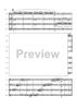 Flight of the BumbleBee - Score