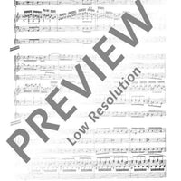 Concerto d minor - Score