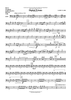 Digital Prisms - Trombone/Euphonium BC/Bassoon/Cello 4