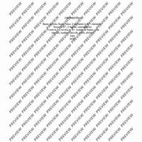 concerto - Piano Reduction