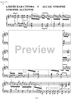 Essays on the forgotten Rhythms Op.28