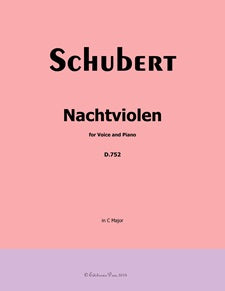 Nachtviolen