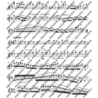 Variationen über „Nel cor più non mi sento“