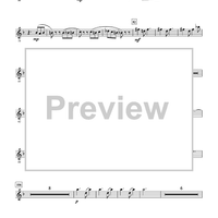 Breaking Point - Flute 2