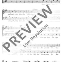 Spanisches Liederspiel - Tenor / Bass