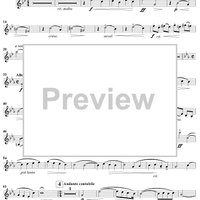 Introduction And Fantasy