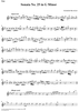 Sonata No. 25 in G Minor - Flute