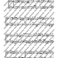 Duetto in D - Performing Score