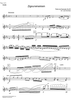 Zigeunerweisen Op.20 - Violin