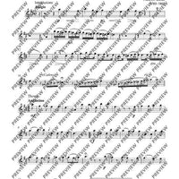 Variationen über „Nel cor più non mi sento“