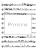 Concerto No. 2 C Major KV314 - Flute