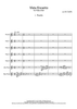 Vista Encanto - Score