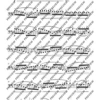 12 Etudes-Caprices caractéristiques