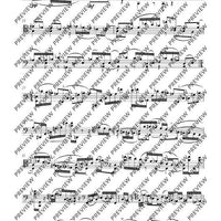 Introduction and Scherzino