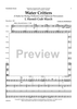 Water Critters - A Suite for String Orchestra and Optional Percussion - Score