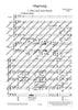 Abgesang - Score
