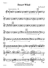 Desert Wind - Violin 1