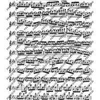 The Flutist's Progress