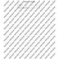 String quartet no. 4 - Score and Parts
