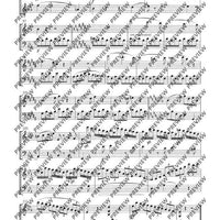 3 Duetti concertanti - Score and Parts