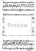 Concerto for guitar and strings - Score