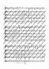 Concertino classico D major - Score