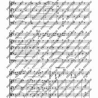 Concertino classico D major - Score